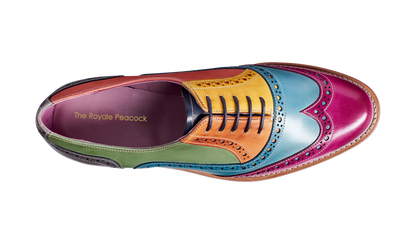 Iris Rainbow Leather Oxford for Women
